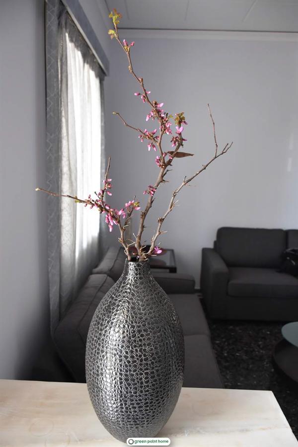 Green Point Home Chios Vrontádos Екстериор снимка